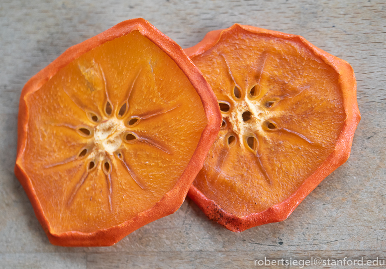 persimmon